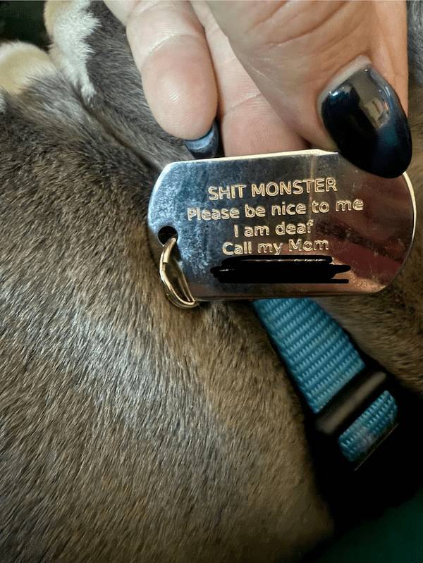 Dirty Dump For Dirty Minds