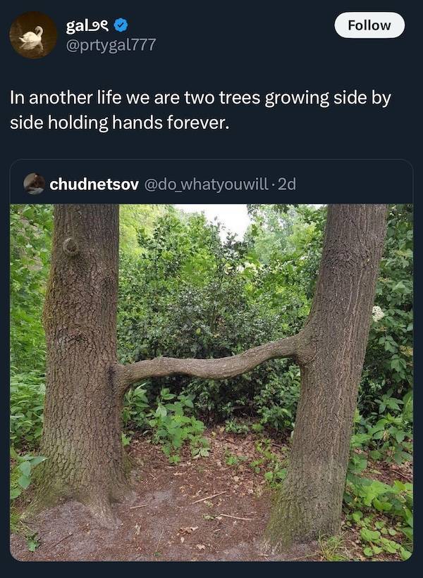 dirty dump for dirty minds 35 pics 1 gif 17.html - 35 HD GIF | Premium Gallery 2025