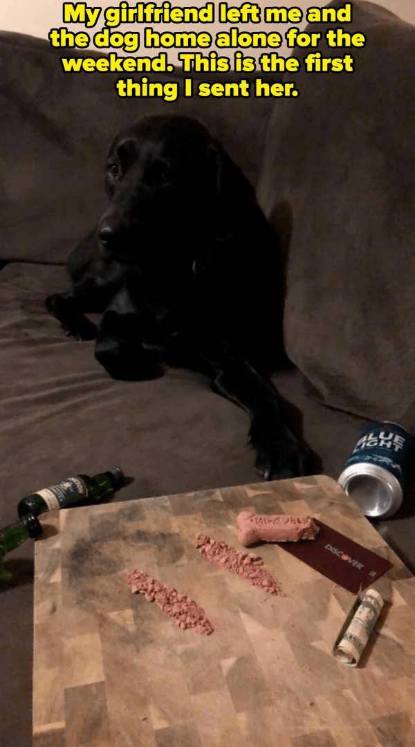 Dirty Dump For Dirty Minds