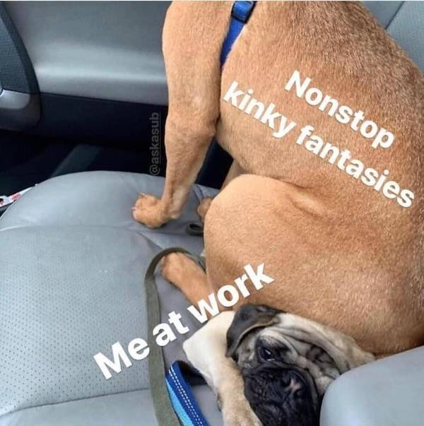 NSFW Memes To Add Some Spice To Your Life