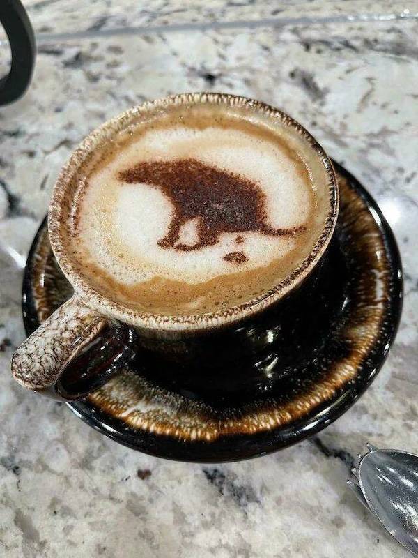 dirty dump for dirty minds 36 pics 9.html - 36 HD Photos | Premium Gallery 2025