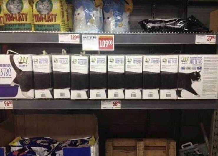 when creativity goes too far 46 pics 2.html - 46 HD Photos | Premium Gallery 2025