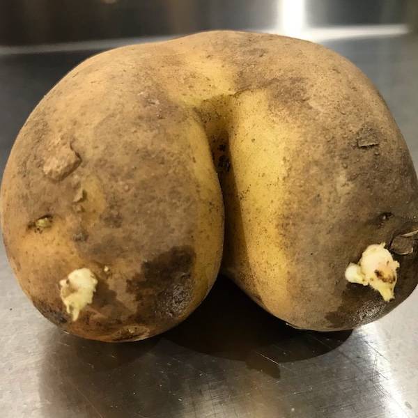 sexy food 40 pics 15.html - 40 HD Photos | Premium Gallery 2025