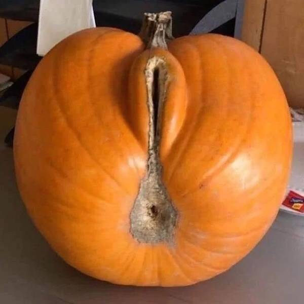 sexy food 40 pics 15.html - 40 HD Photos | Premium Gallery 2025