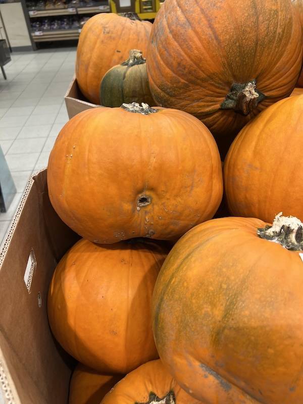 sexy food 40 pics 15.html - 40 HD Photos | Premium Gallery 2025