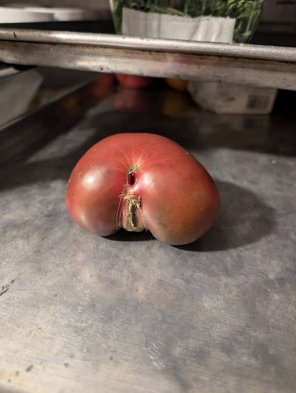 sexy food 40 pics 15.html - 40 HD Photos | Premium Gallery 2025