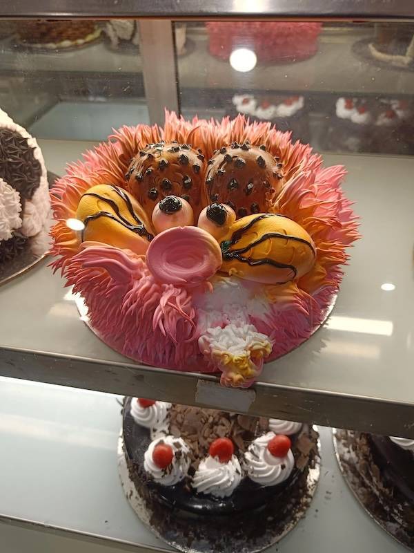 sexy food 40 pics 15.html - 40 HD Photos | Premium Gallery 2025