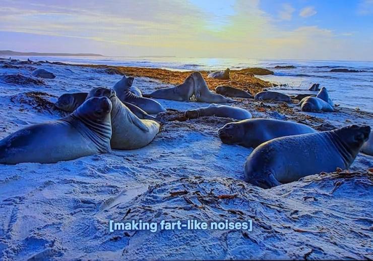 Dirty Dump For Dirty Minds