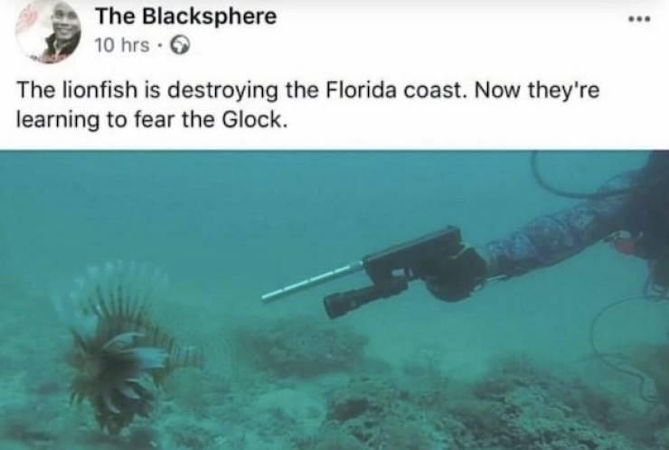 dirty dump for dirty minds 40 pics 13.html - 40 HD Photos | Premium Gallery 2025