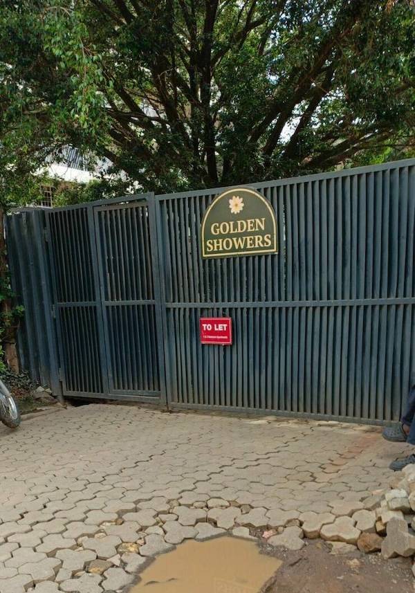 dirty dump for dirty minds 40 pics 13.html - 40 HD Photos | Premium Gallery 2025