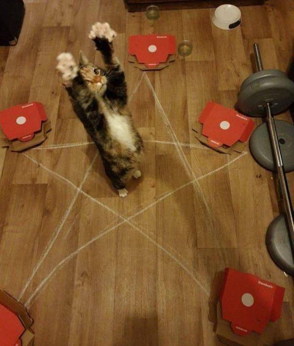 dirty dump for dirty minds 40 pics 13.html - 40 HD Photos | Premium Gallery 2025