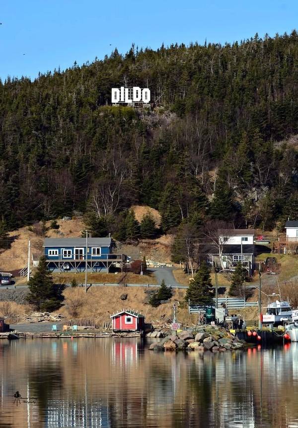 dirty dump for dirty minds 40 pics 13.html - 40 HD Photos | Premium Gallery 2025