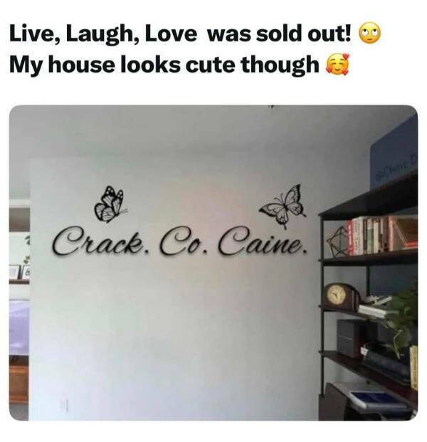 dirty dump for dirty minds 40 pics 13.html - 40 HD Photos | Premium Gallery 2025