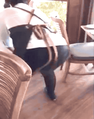 girls with skills 30 gifs 3.html - 1 HD GIF | Premium Gallery 2025