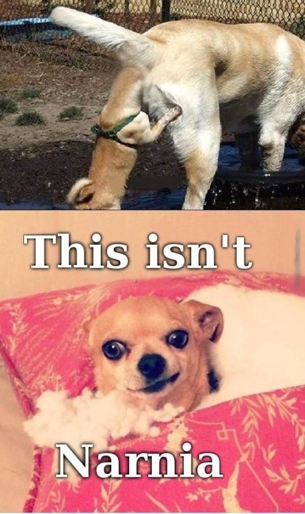 dirty minds are welcome 42 pics 3.html - 42 HD Photos | Premium Gallery 2025