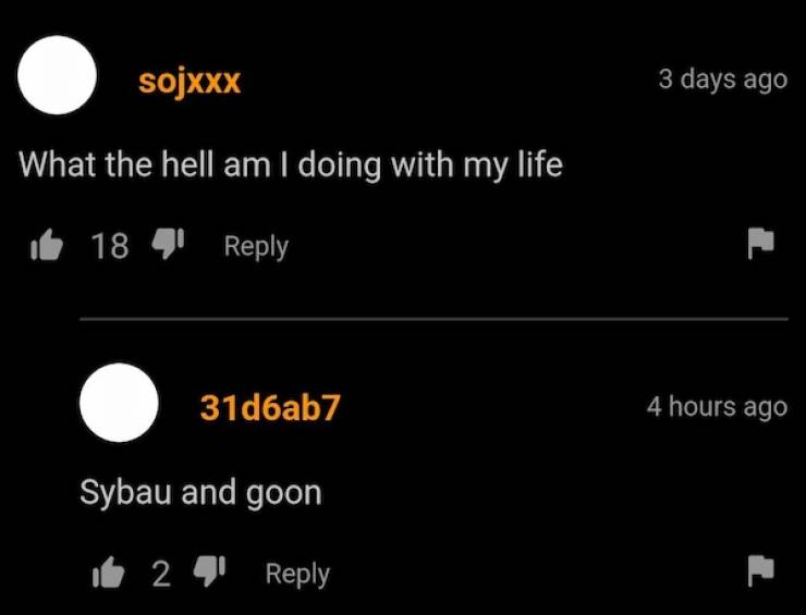 PornHub’s Comments Are Always Wild!