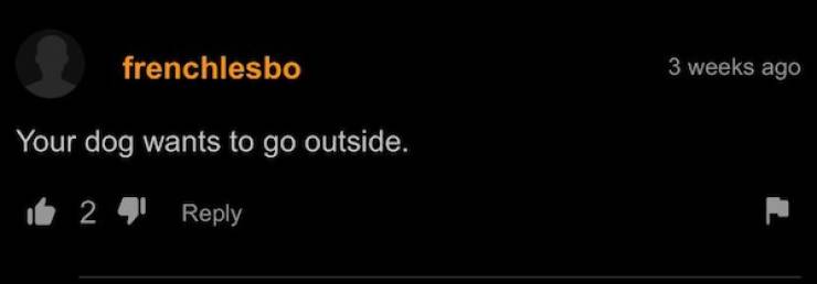 PornHub’s Comments Are Always Wild!