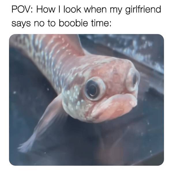 flirty memes to send your better half 32 pics 11.html - 32 HD Photos | Premium Gallery 2025