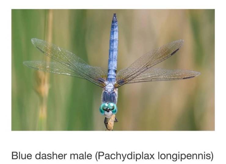 Dirty Dump For Dirty Minds