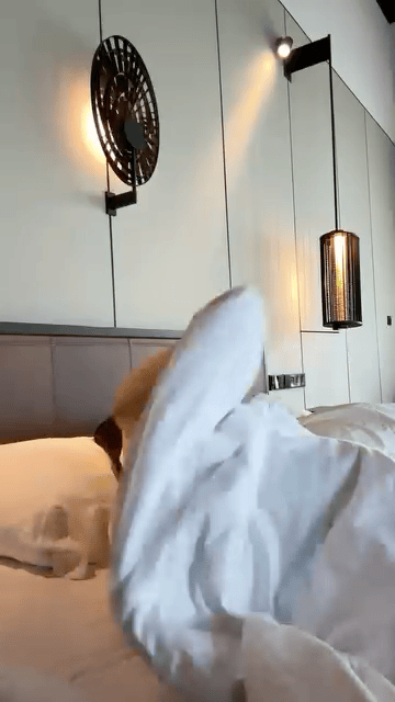 Sexy Girls In Their Sexy Thongs