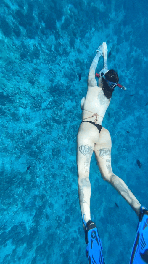 sexy girls in their sexy thongs 15 pics 21 gifs 3.html - 15 HD GIF | Premium Gallery 2025