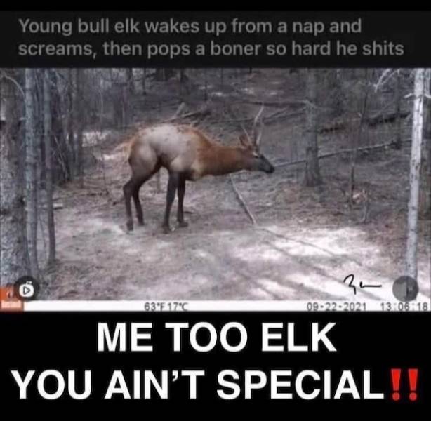 Dirty Minds Are Welcome!