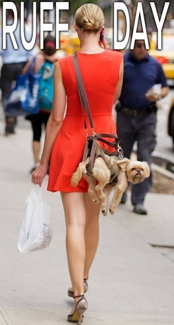 nsfw memes to add some spice to your life 36 pics 8.html - 36 HD Photos | Premium Gallery 2025