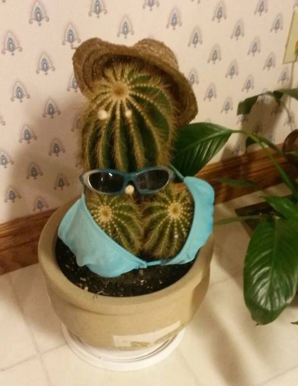 Dirty Minds Are Welcome!