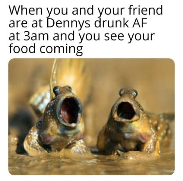 drinking never ends 34 pics 3.html - 34 HD Photos | Premium Gallery 2025