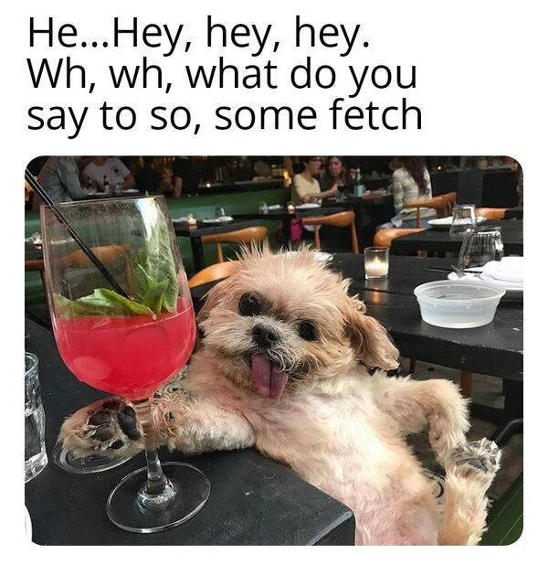 drinking never ends 34 pics 3.html - 34 HD Photos | Premium Gallery 2025