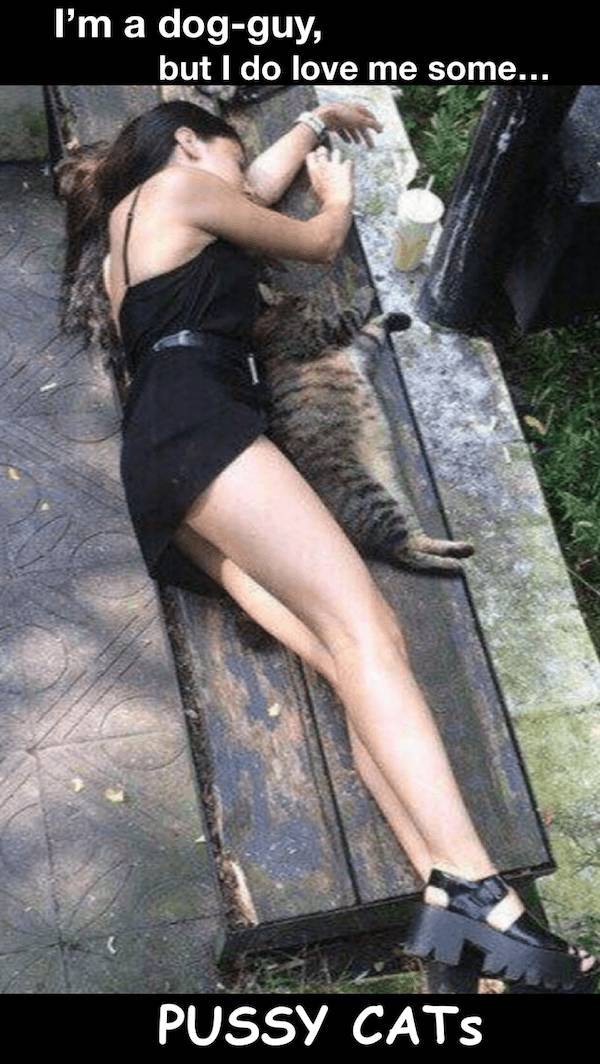 nsfw laughs for grownups 40 pics 8.html - 40 HD Photos | Premium Gallery 2025