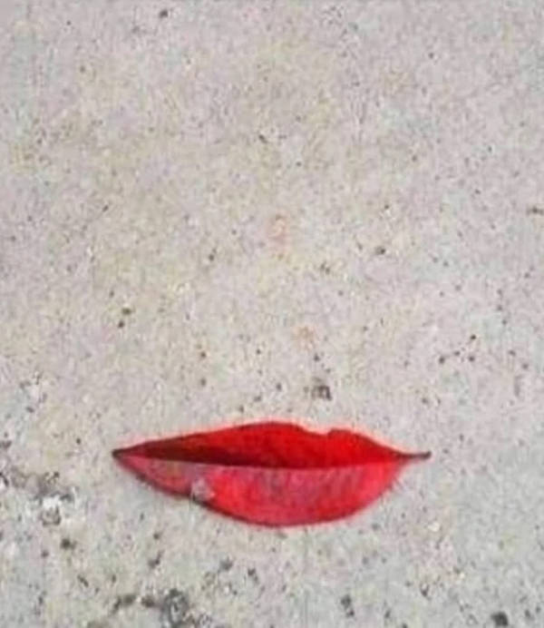 Dirty Dump For Dirty Minds