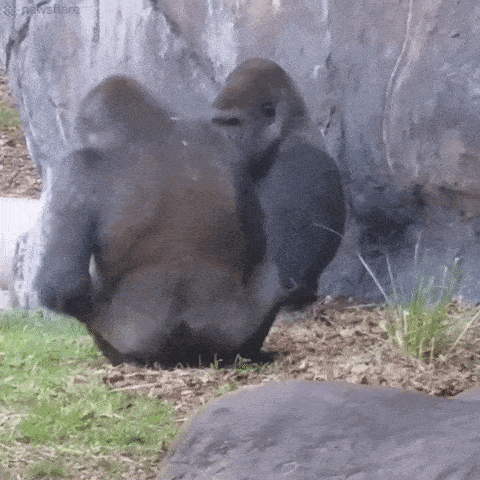 dirty minds are welcome 34 pics 14.html - 34 HD Photos | Premium Gallery 2025