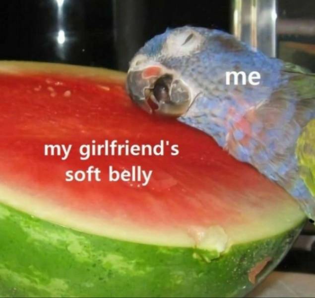 Flirty Memes To Send Your Better Half