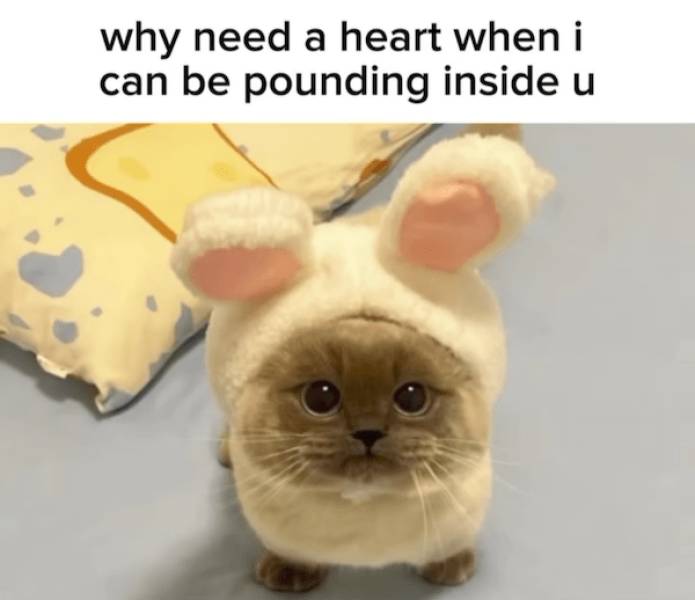 Flirty Memes To Send Your Better Half