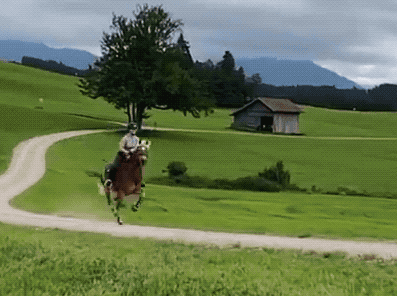 cowgirls have us in our country feels 32 gifs 2.html - 1 HD GIF | Premium Gallery 2025