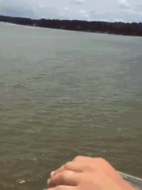 Flaming Fiascos: Collection Of Hot Fails