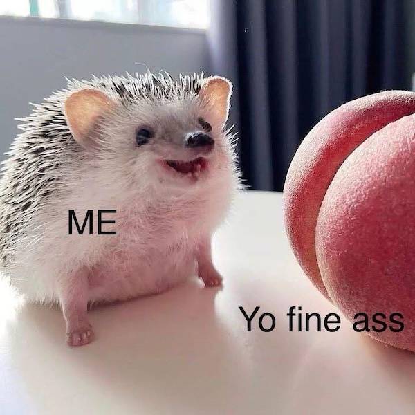 Flirty Memes To Annoy Your Significant Other