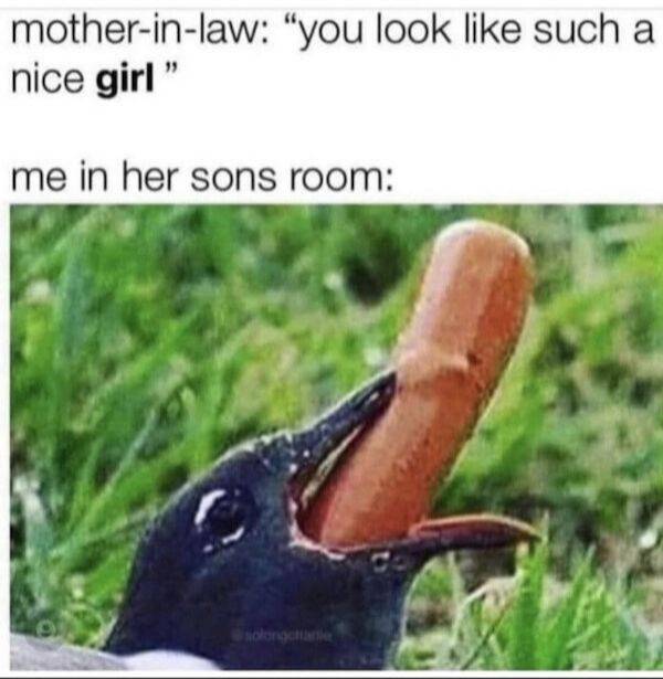 dirty minds are welcome 37 pics 8.html - 37 HD Photos | Premium Gallery 2025