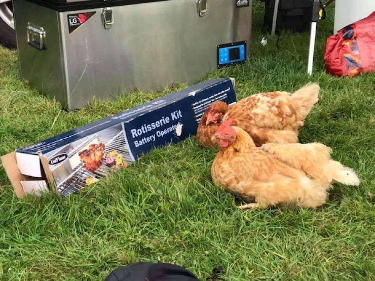 Dirty Minds Are Welcome!