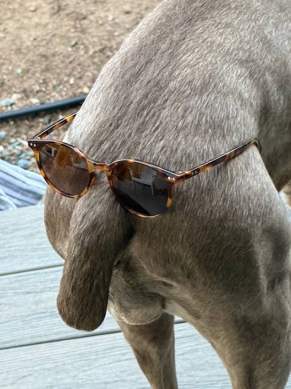 Dirty Minds Are Welcome!