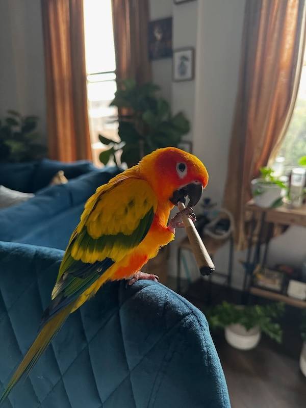 Dirty Minds Are Welcome!