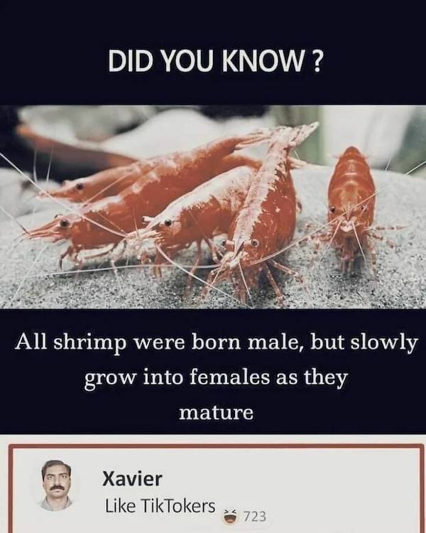 dirty minds are welcome 39 pics 8.html - 39 HD Photos | Premium Gallery 2025