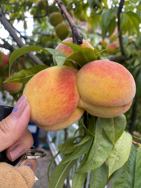 dirty minds are welcome 33 pics 17.html - 33 HD Photos | Premium Gallery 2025