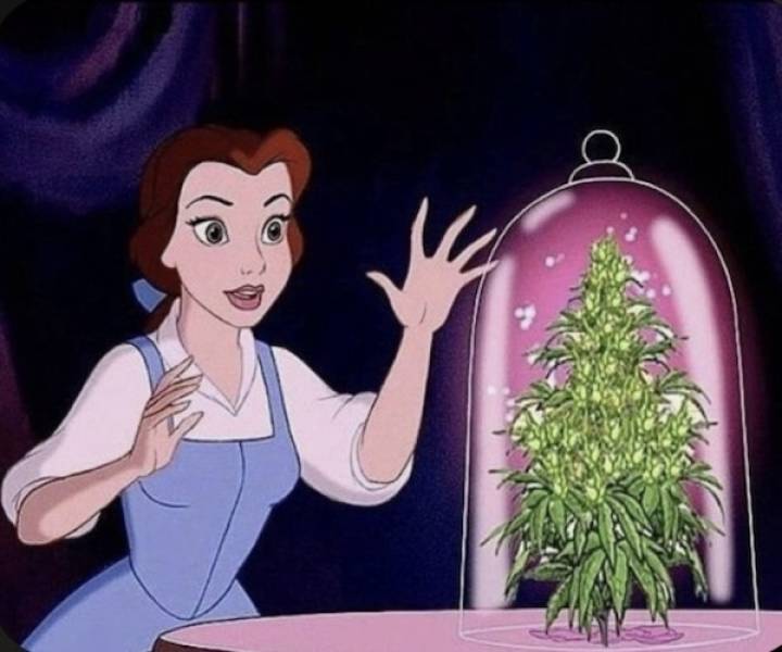 dirty minds are welcome 32 pics 13.html - 32 HD Photos | Premium Gallery 2025