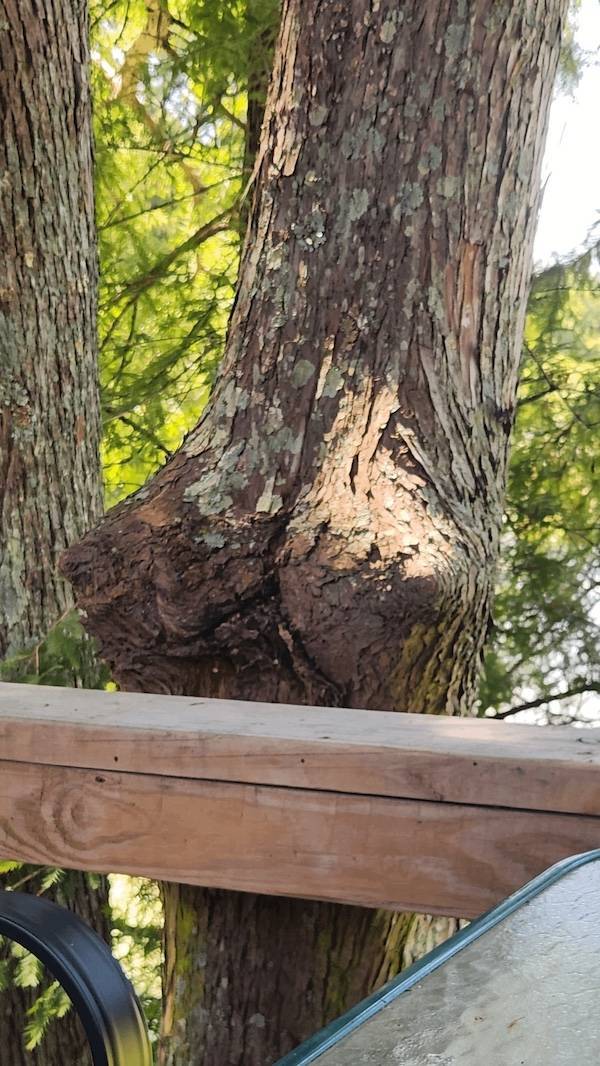 Dirty Minds Are Welcome!