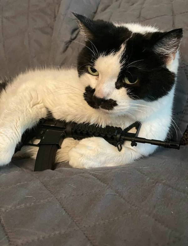 dirty minds are welcome 37 pics 2.html - 37 HD Photos | Premium Gallery 2025