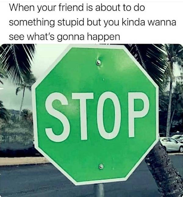 beerafull memes for everyone 44 pics 14.html - 44 HD Photos | Premium Gallery 2025