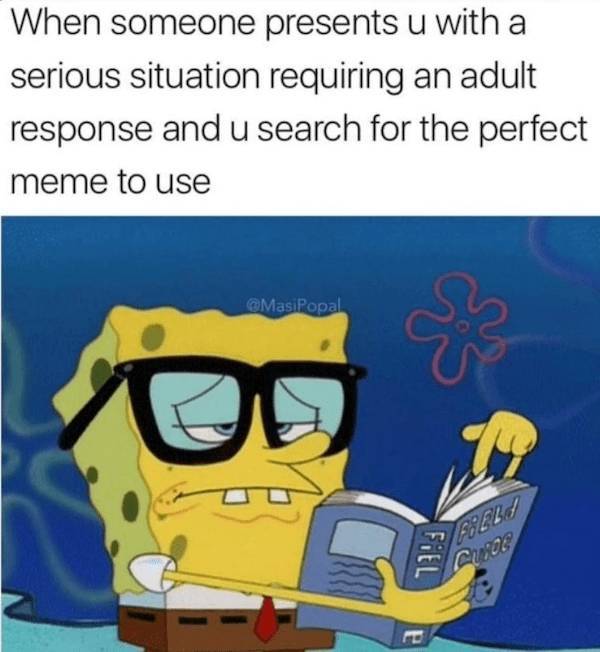 beerafull memes for everyone 44 pics 14.html - 44 HD Photos | Premium Gallery 2025