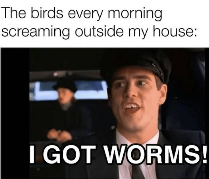 beerafull memes for everyone 35 pics 16.html - 35 HD Photos | Premium Gallery 2025